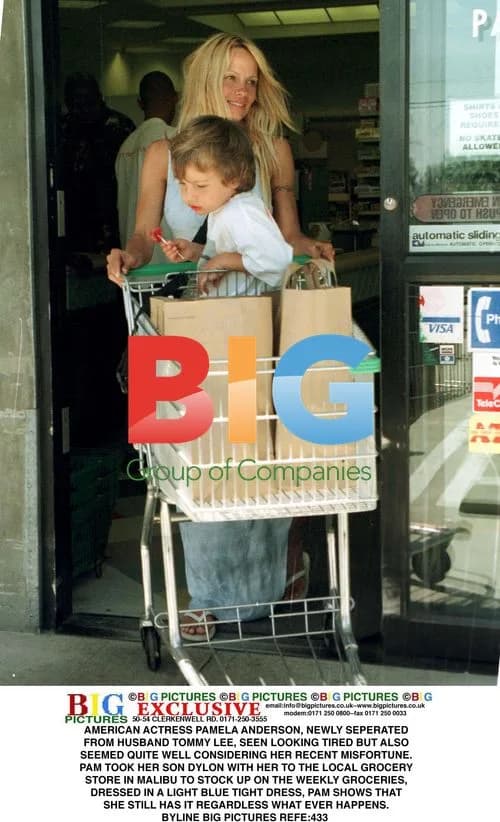 Pamela Anderson Seen Grocery Shopping