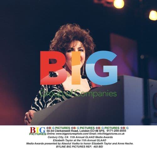 Elizabeth Taylor at GLAAD Media Awards