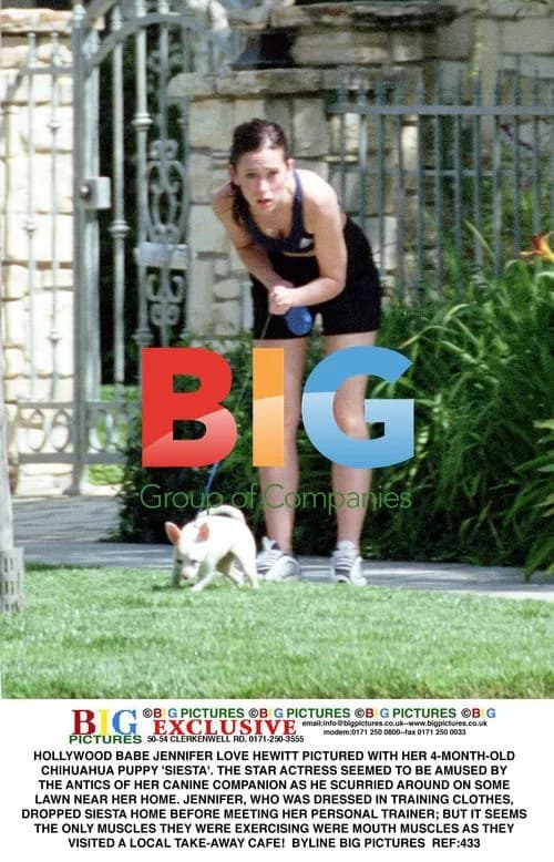 Jennifer Love Hewitt with Chihuahua Puppy
