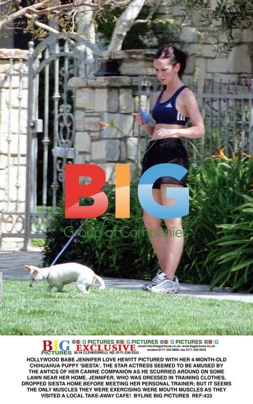 Jennifer Love Hewitt and Chihuahua Puppy