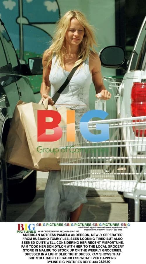 Pamela Anderson out shopping with son in Malibu