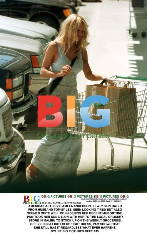 Pamela Anderson out shopping in Malibu