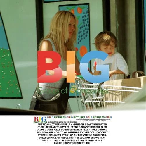 Pamela Anderson Seen Shopping in Malibu