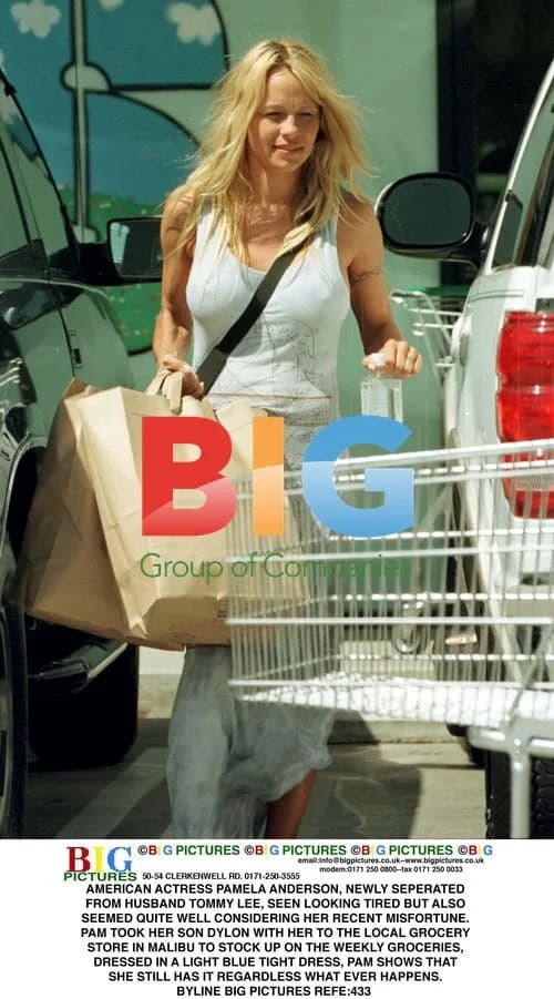 Pamela Anderson Spotted Shopping in Malibu