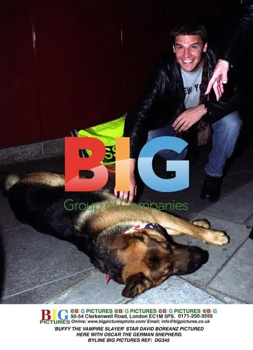 BUFFY star David Boreanz with dog
