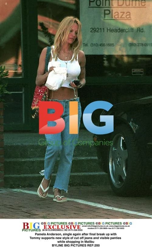 Pamela Anderson sports new denim look