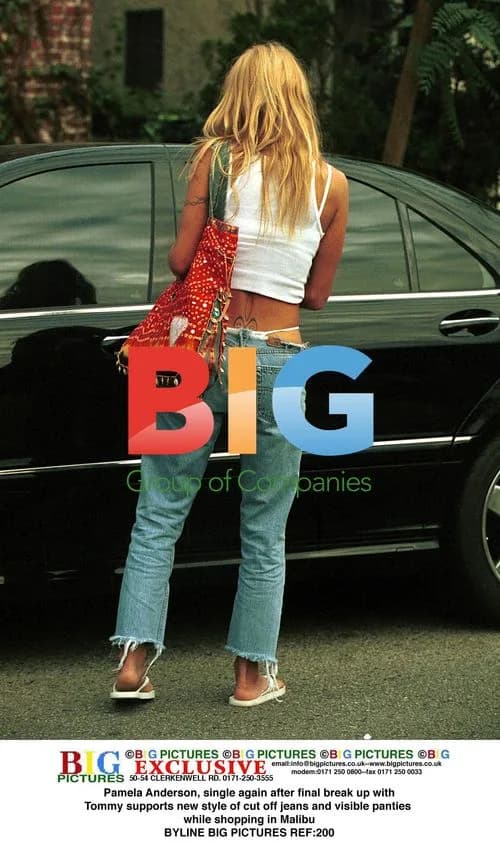 Pamela Anderson supports cut off jeans and visible panties