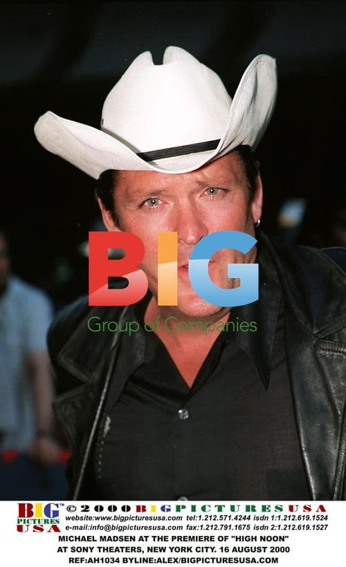 Michael Madsen at "High Noon" Premiere