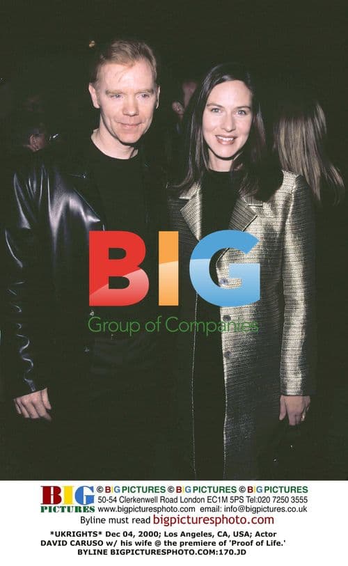 David Caruso at 'Proof of Life' premiere