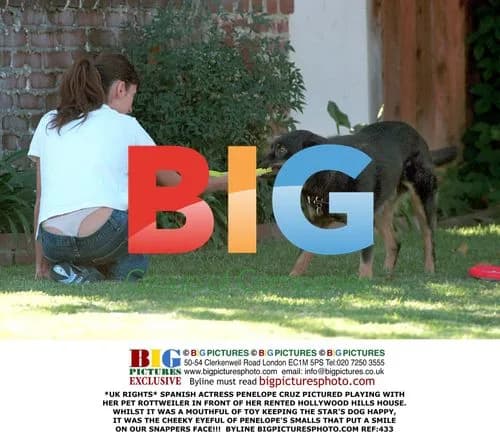 Penelope Cruz plays with pet Rottweiler