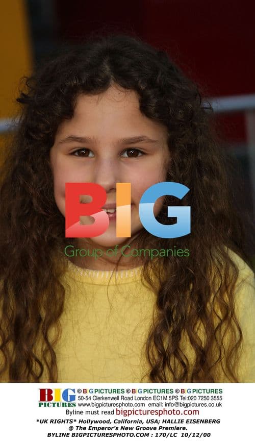 Hallie Eisenberg @ Emperor's New Groove Premiere