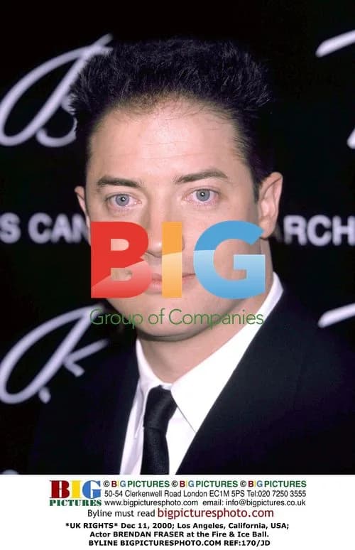 Brendan Fraser at Fire & Ice Ball