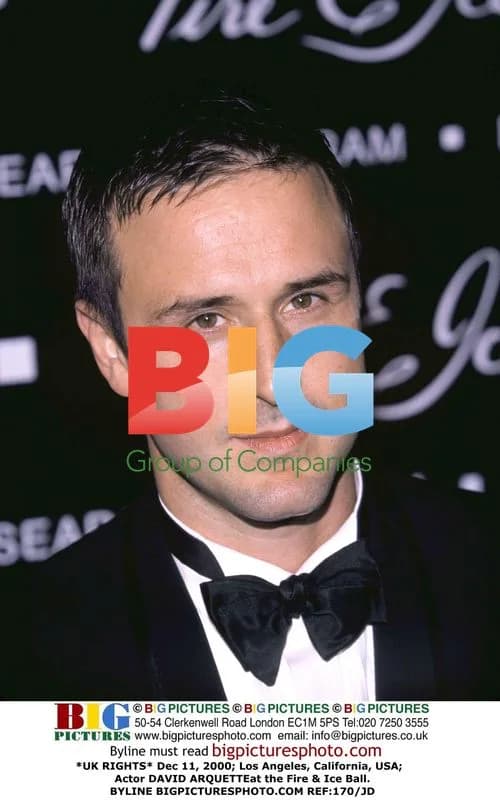 David Arquette at Fire & Ice Ball