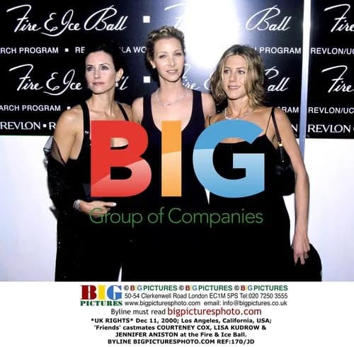 'Friends' cast at Fire & Ice Ball