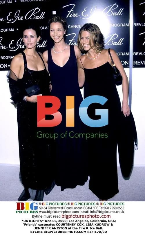 Friends Stars at Fire & Ice Ball