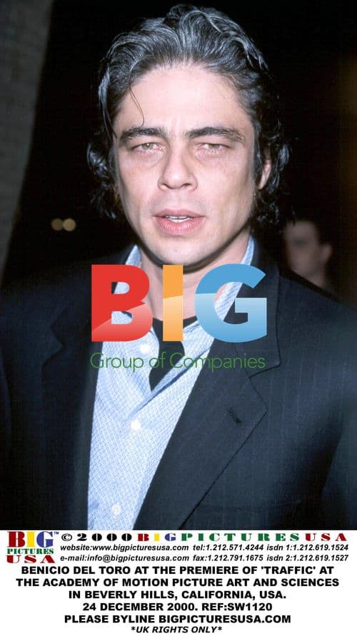 Benicio Del Toro at 'Traffic' Premiere