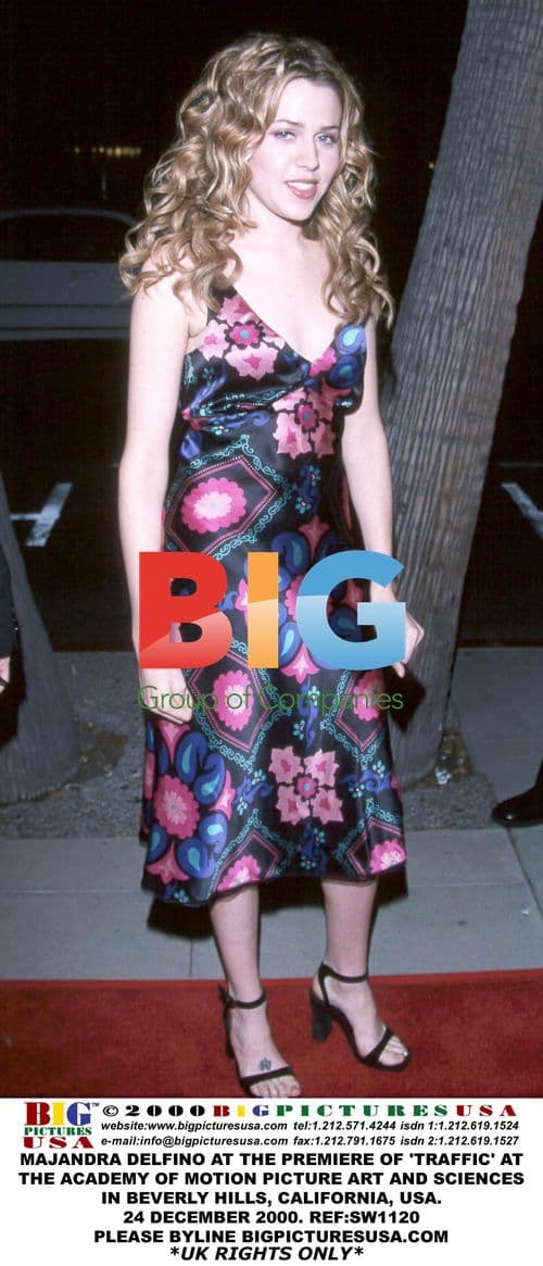 Majandra Delfino at 'Traffic' Premiere