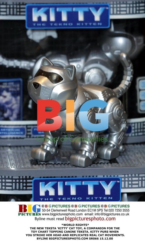 Teksta 'Kitty' Cat Toy