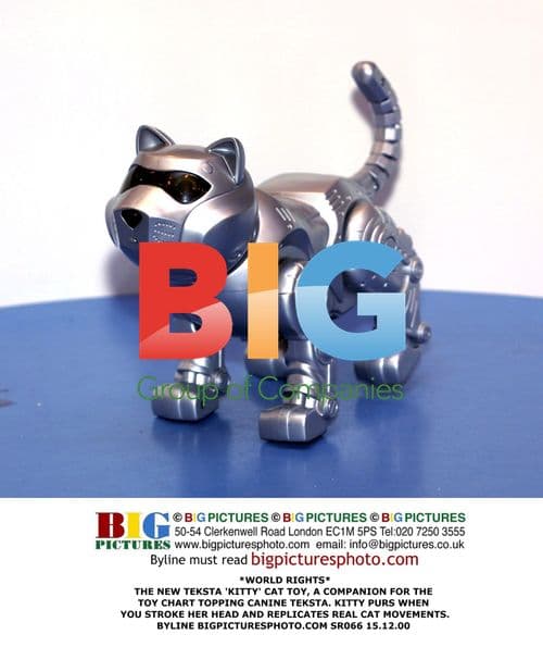 The New Teksta 'Kitty' Cat Toy