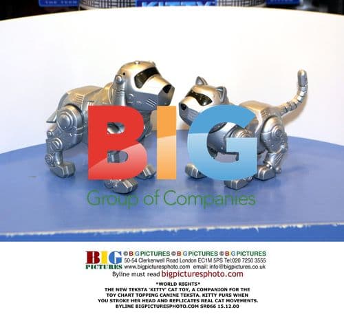 TEKSTA 'KITTY' Cat Toy Launched