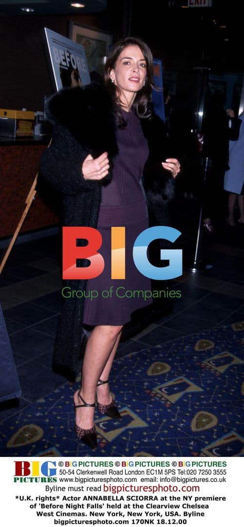 Annabella Sciorra at 'Before Night Falls' premiere