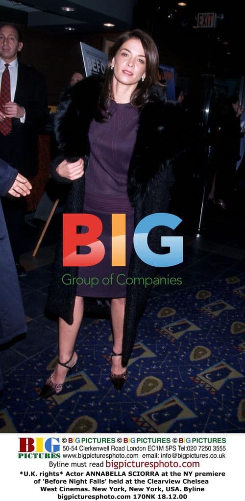 Annabella Sciorra at 'Before Night Falls' NY Premiere