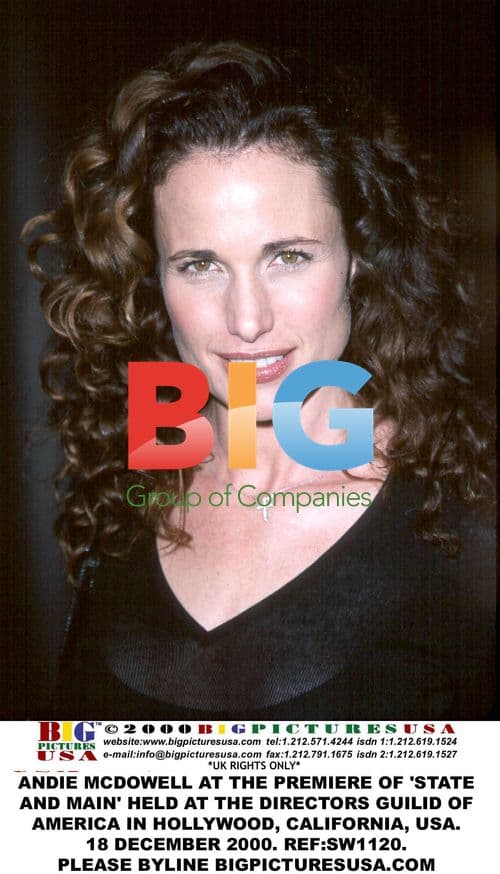 Andie MacDowell at 'State and Main' Premiere