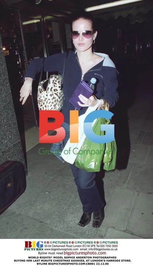 Model Sophie Anderton Christmas Shopping at Harrods
