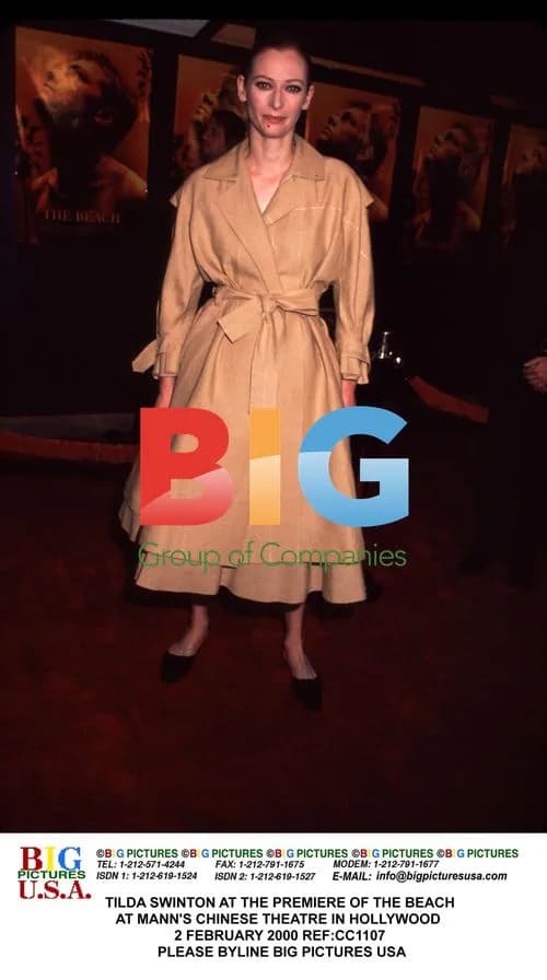 TILDA SWINTON at THE BEACH premiere