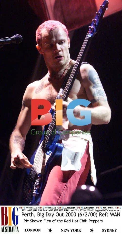 Flea of Red Hot Chili Peppers at Big Day Out