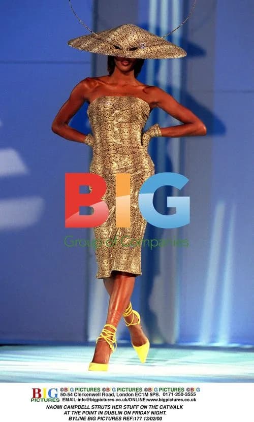 Naomi Campbell at Charity Fashion Show in Dublin