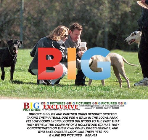 Brooke Shields and Partner Walk Dog