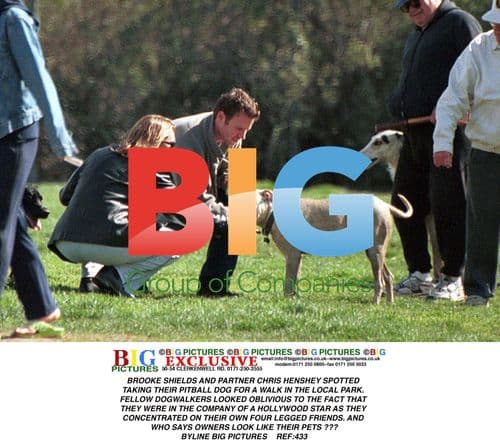 Brooke Shields and Partner Take Dog for Walk