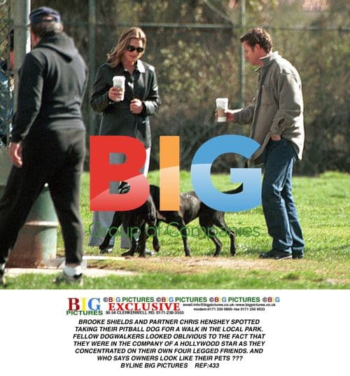 Brooke Shields and Partner Spotted Walking Dog