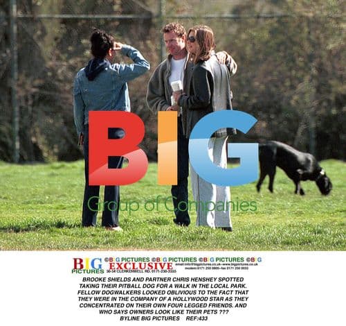 Brooke Shields and Chris Henshey Out with Dog