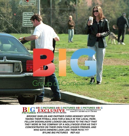 Brooke Shields and Partner Take Dog for Walk