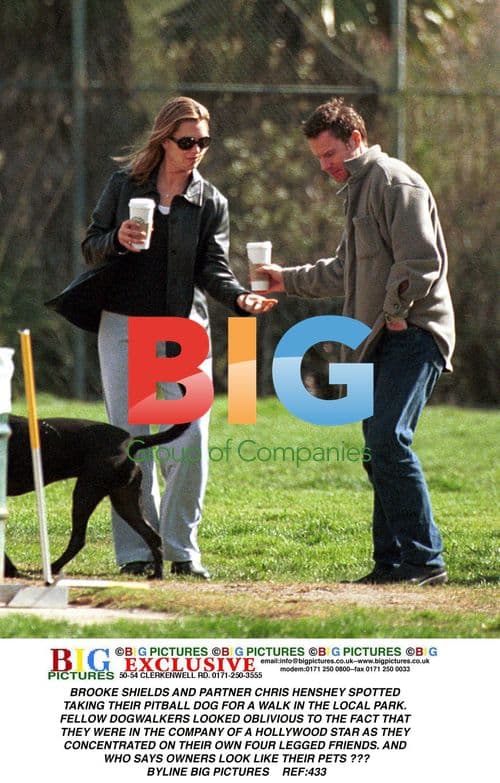 Brooke Shields and Chris Henshey Walk Dog
