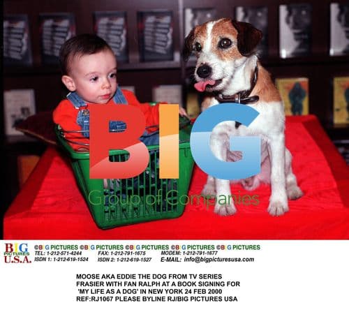 MOOSE, "EDDIE" FROM FRASIER, AT BOOK SIGNING