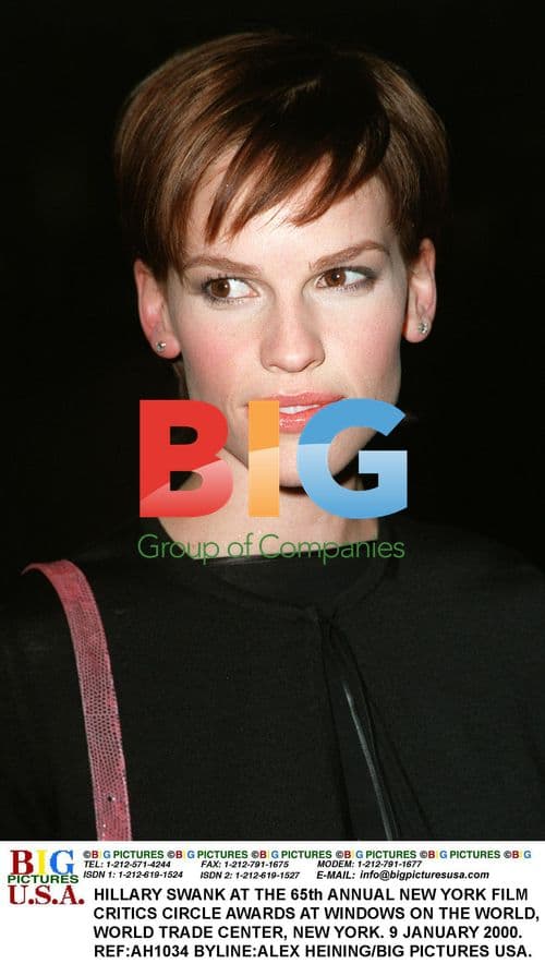 Hillary Swank at New York Film Critics Circle Awards