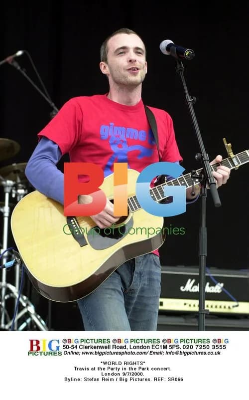 Travis at the Party in the Park concert