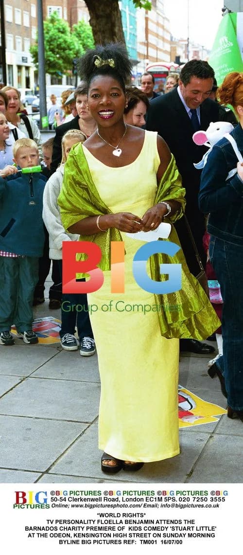 Floella Benjamin at 'Stuart Little' Premiere