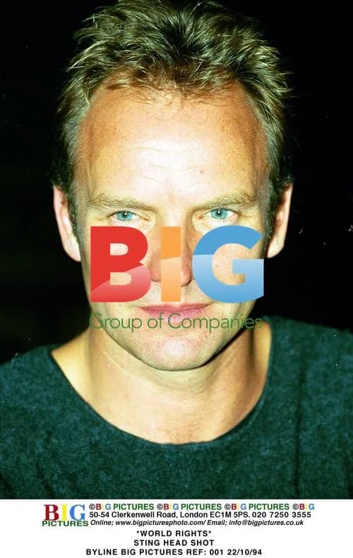 STING HEAD SHOT