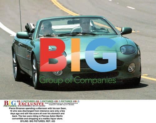 Pierce Brosnan and son Sean out in Malibu