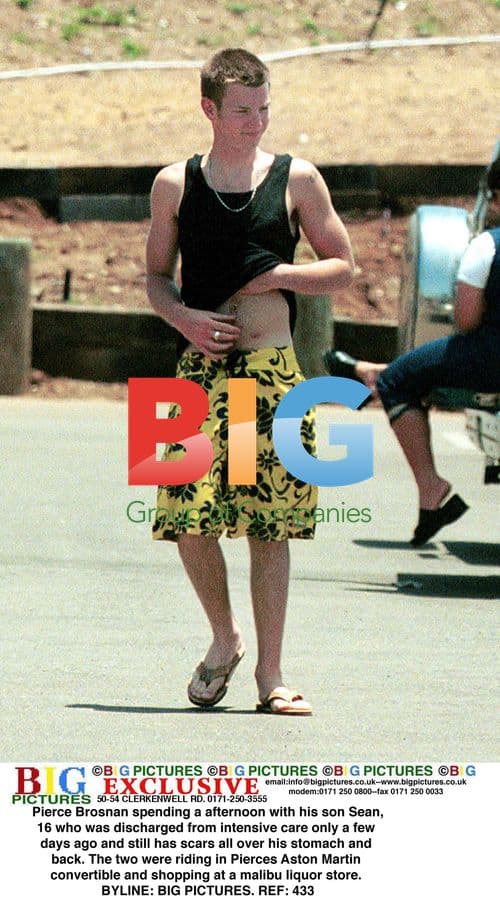 Pierce Brosnan and son Sean out in Malibu