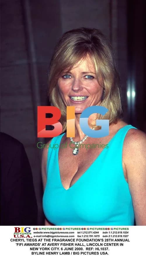 Cheryl Tiegs at Fifi Awards