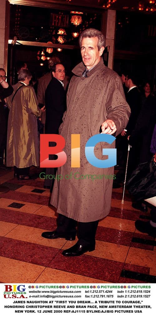 James Naughton at "First You Dream" Tribute