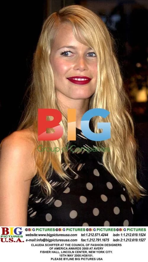 Claudia Schiffer at CFDA Awards 2000