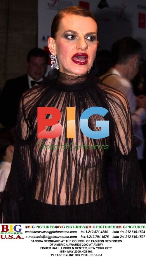 SANDRA BERNHARD at CFDA Awards 2000