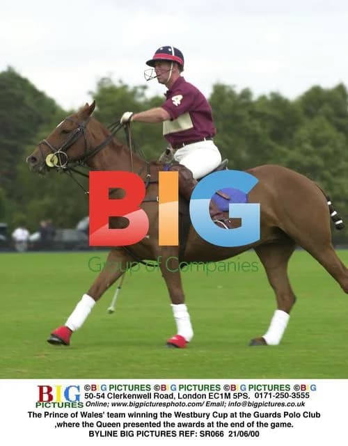Prince Charles' team wins Westbury Cup