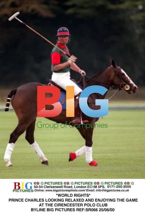 Prince Charles Enjoying Polo Game